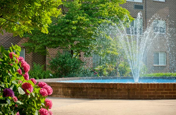 Harmony Hall Fountain