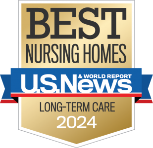 2024 Nursing Homes Long-Term badge.png